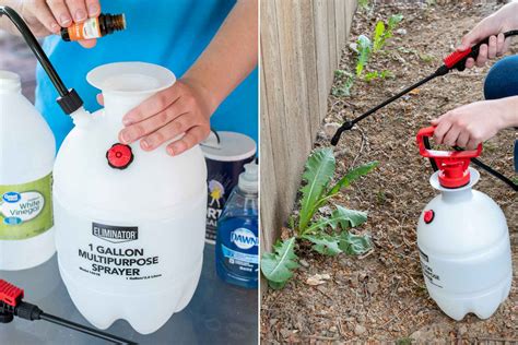 10 Homemade & Natural Weed Killers That Actually Work - The Krazy ...