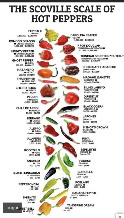 Pin by Nikkol on f.y.i/information | Stuffed peppers, Stuffed hot ...