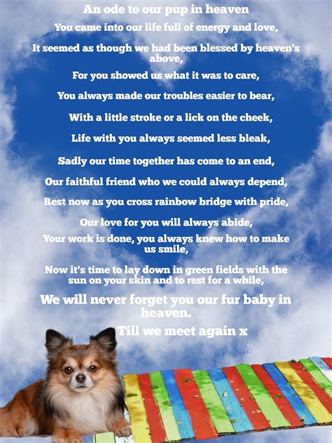 Pet Loss Poems For Dogs