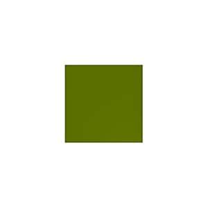 Lee Filters Borealis Green 24x21 Gel Filter Sheet : Amazon.in: Electronics