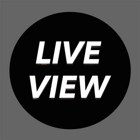 Live View Camera 的图像结果