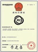 Image result for trademark 商标注册