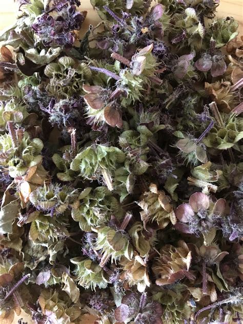 「華茶」(小) ホーリーバジルハーブティー Holybasil herb tea 7g | ホーリーバジル専門店 sidewalk