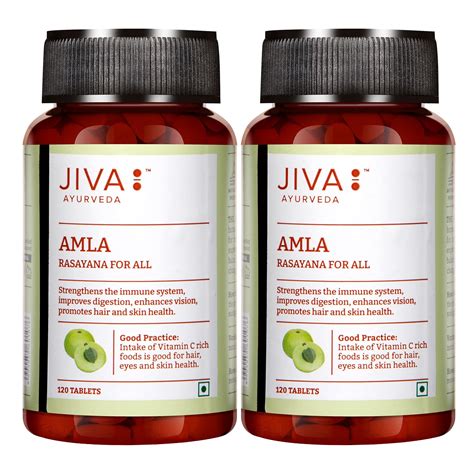 Jiva Amla Tablets 500mg 240 Tablets | 100% Pure Herbs Used, Rich In ...