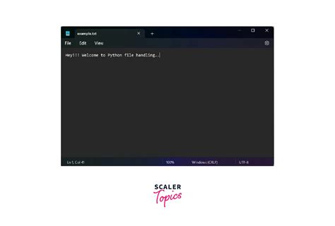 Image result for Python File. View