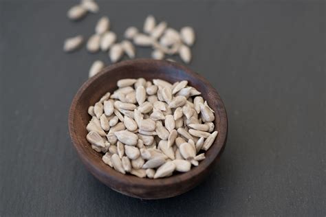 Can Dogs Eat Sunflower Seeds? A Comprehensive Guide - Petful