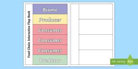 Food Chain Word Cards (teacher made)