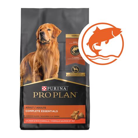Discover the Top 10 Purina Salmon Dog Food Products for a Happy Tail ...