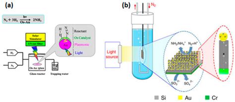 Insights into the Recent Progress and Advanced Materials for ...