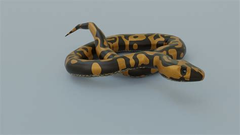 Image result for Shapes for Python Snake Game