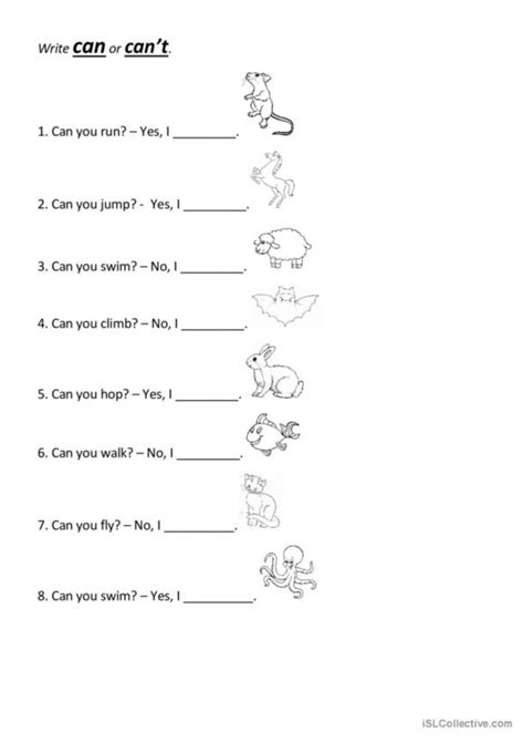 Can Worksheet 的图像结果