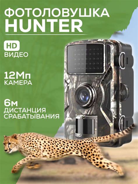Фотоловушка - купить с доставкой по выгодным ценам в интернет-магазине ...
