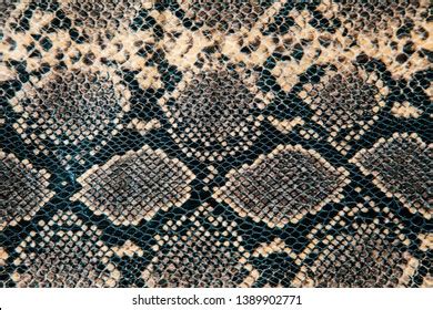 Image result for Python Skin Pattern