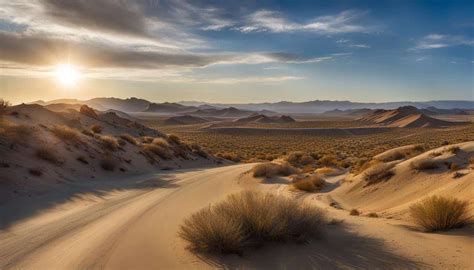 California 的图像结果