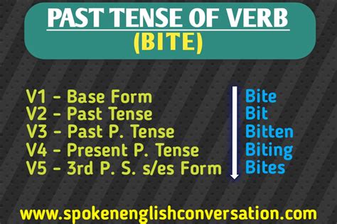 Past Tense of BITE, Present, Future and Participle form