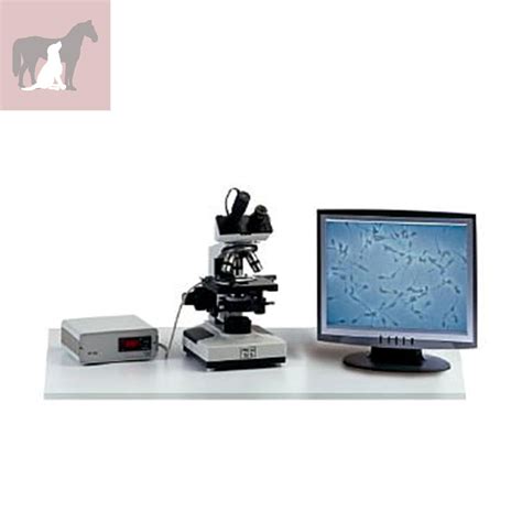 Image result for Phase Contrast Microscope