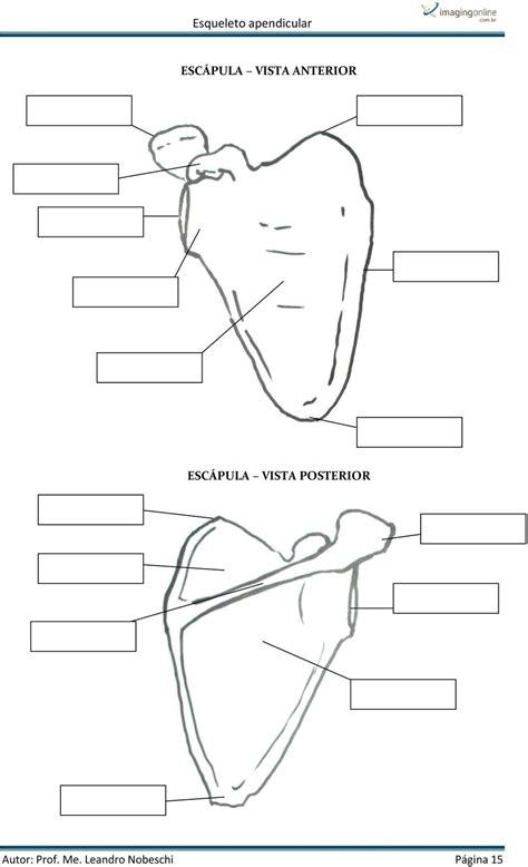 Image result for Flow Chart for Soh Estimation Using Deep Learning Methods