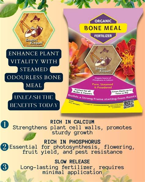 When To Use Bone Meal In Garden
