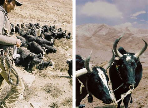 A desert 4,000m in the sky: Nepal’s health workers reach some of the ...