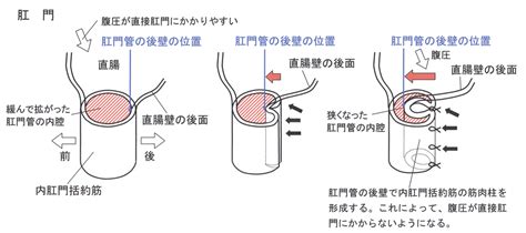 Image result for Matplotlib Origin Center