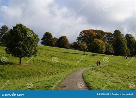 People Walking Together 的图像结果