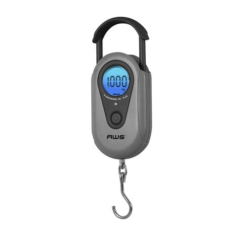 Buy AMERICAN WEIGH SCALES AMW-SR-1KG Gray 1000 x 1G Digital Hanging ...