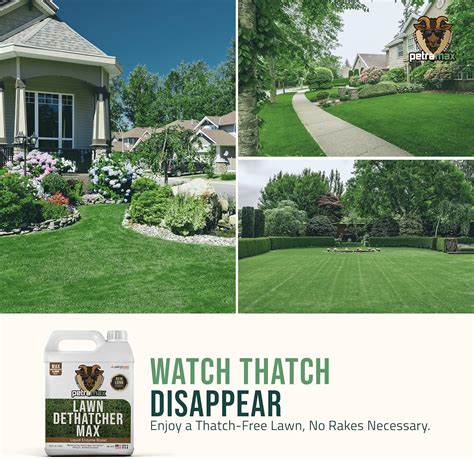 PetraTools Liquid Dethatcher - Lawn Dethatching India | Ubuy