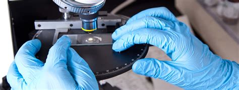 Forensic Scientist Explained 的图像结果