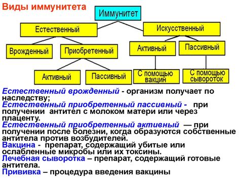 Схема виды иммунитета микробиология | Obrezka.com