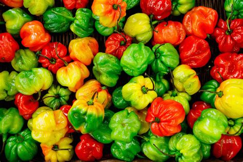 vegetable bunch of bell peppers produce Image - Free Stock Photo