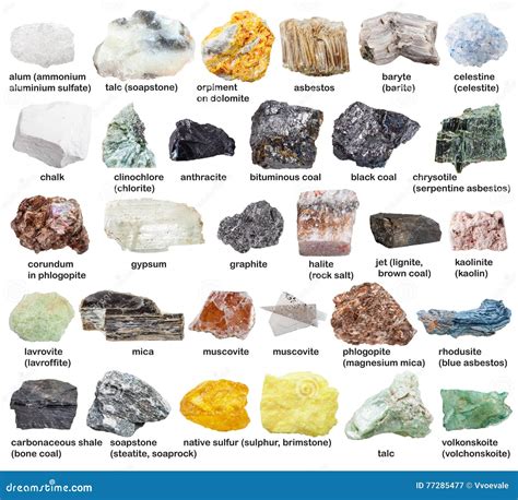 Various Halite Rock Salt And Sea Salt Minerals Stock Photography | CartoonDealer.com #81091160