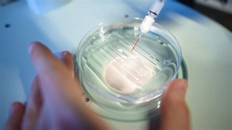 New “anti-CRISPR” discovered in viruses