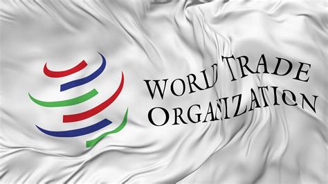 WTO 的图像结果