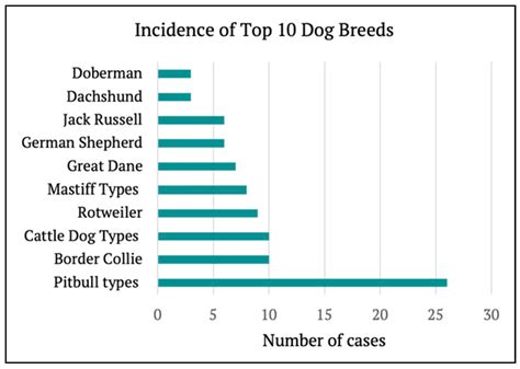 The K9-Teen Pandemic: When Good Boy Goes Bad. The Epidemiology ...