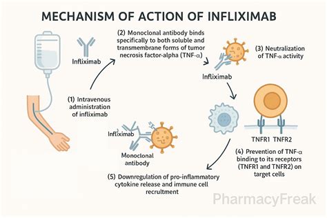 Side Effects Of Infliximab