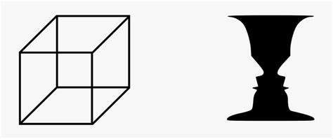 Perception Transparent Background Image 的图像结果