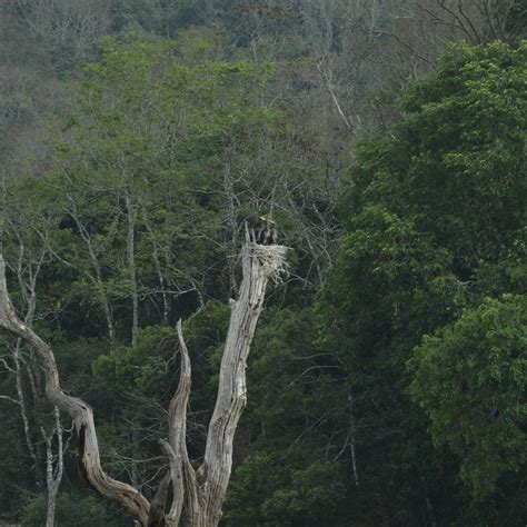 PERIYAR LAKE - All You Need to Know BEFORE You Go (with Photos ...
