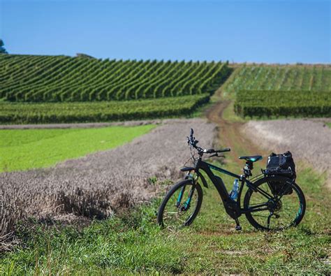 MOSA EBIKE TOURS (2025) All You Need to Know BEFORE You Go (with Photos ...