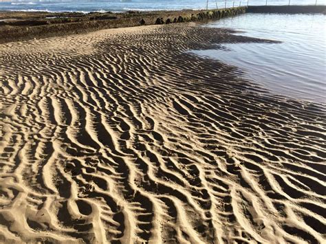 SOPC Sand - Sydney Sole Sisters