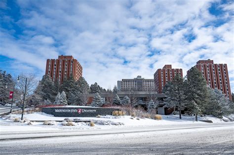 Washington State University Admissions: 2025 Deadlines & Acceptance Rate