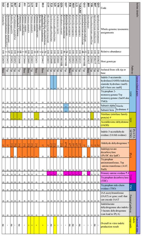 The Microbiome of Fertilization-Stage Maize Silks (Style) Encodes Genes ...