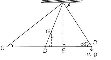 A uniform metal plate shaped like a triangle ABC has a mass of 540 g ...