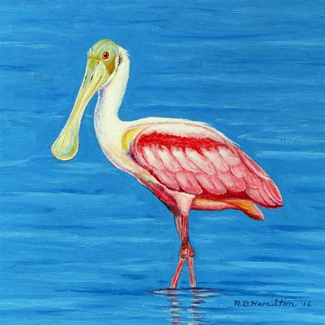 Betsy Drake TP549 Dick's Spoonbill Outdoor Wall Hanging,24" X30 ...