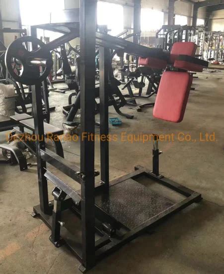 Sentadilla Perfecta Tipo Precor, 45% OFF | www.elevate.in