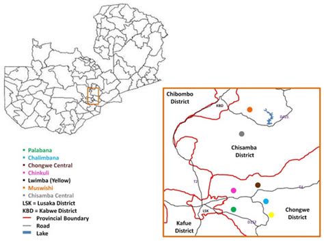 Sequence Diversity of Tp1 and Tp2 Antigens and Population Genetic ...