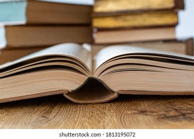 Image result for Python Referne Guide