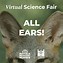 Image result for Animals with Big Ears
