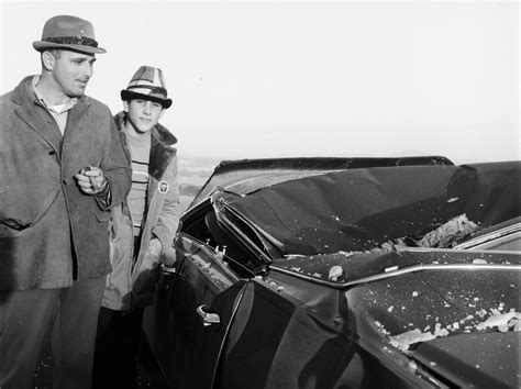 Image result for Whale Carcass Exploding