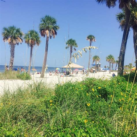 Fred Howard Park (Tarpon Springs) - 2022 Alles wat u moet weten VOORDAT ...