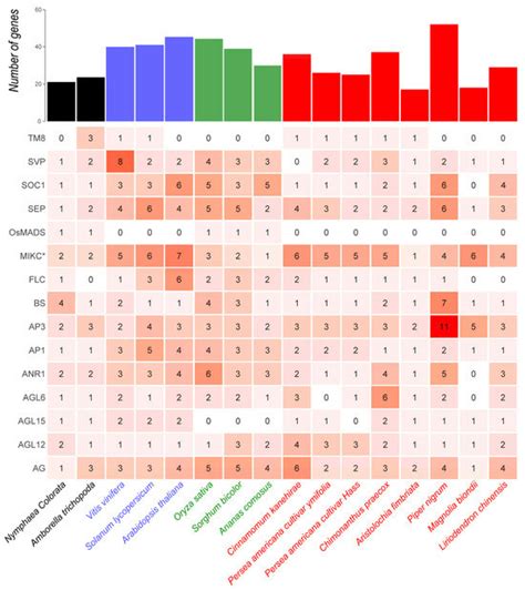 Plants | Special Issue : Angiosperm Diversification and Phylogenetic ...